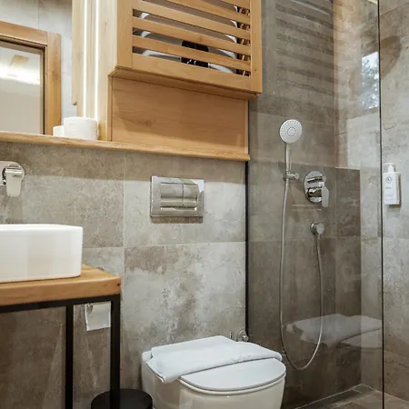 Angelina Apart&spa 4* Divčibare