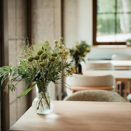 Angelina Apart&spa Hotel